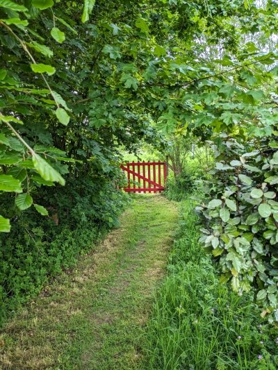 Filnore Allotments