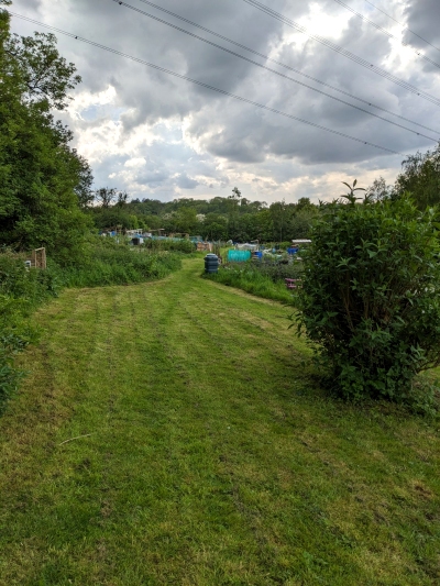 Filnore Allotments