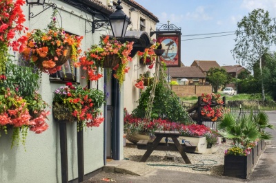 Thornbury in Bloom