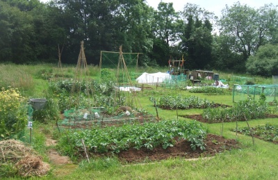 Filnore Allotments